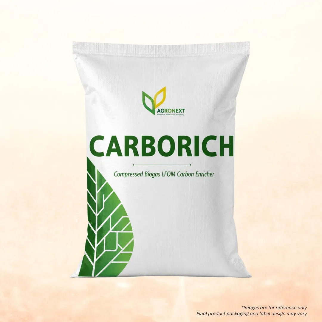 Carborich