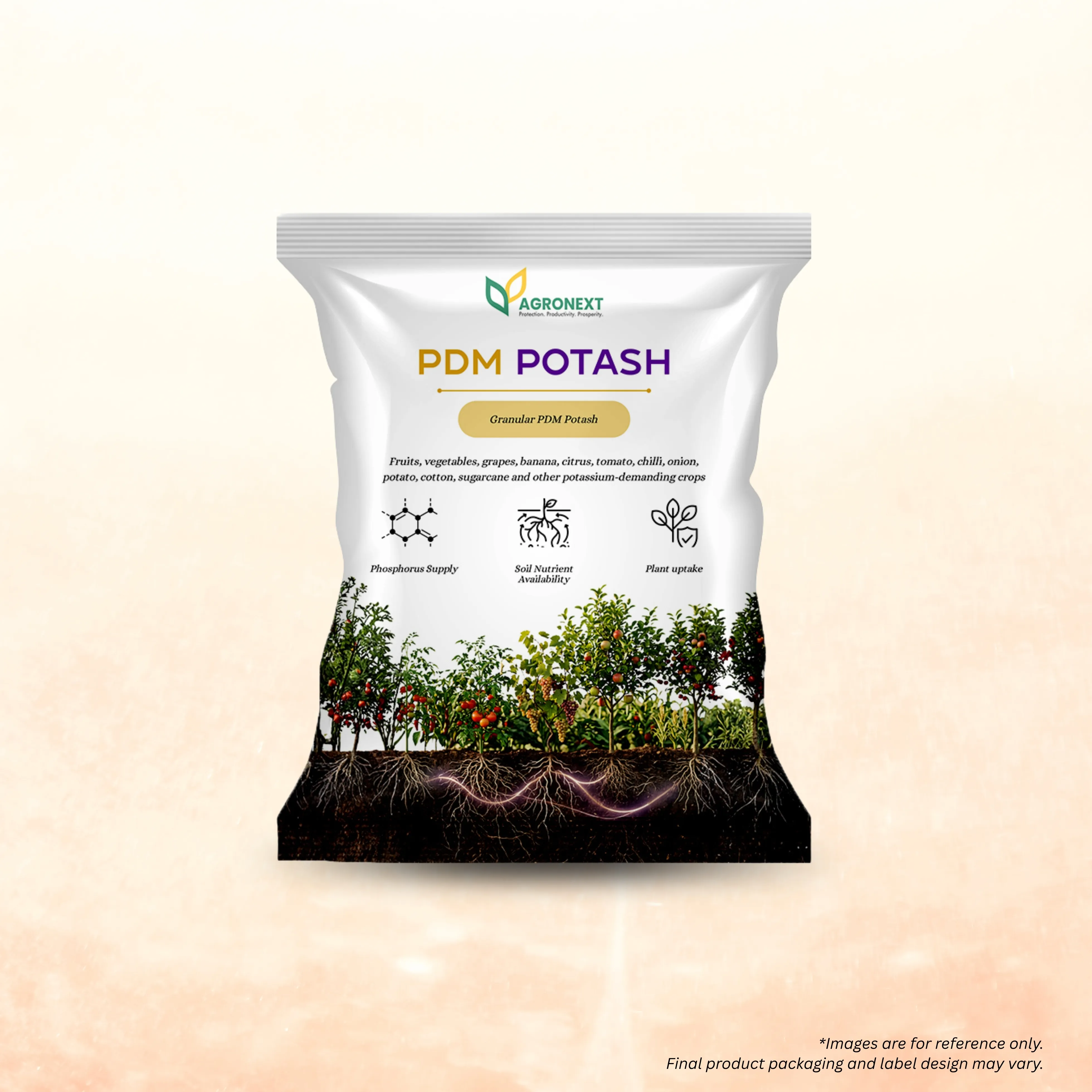 PDM Potash